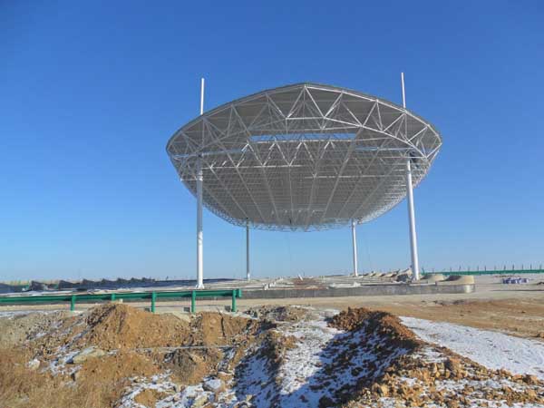 乐陵加油站网架工程